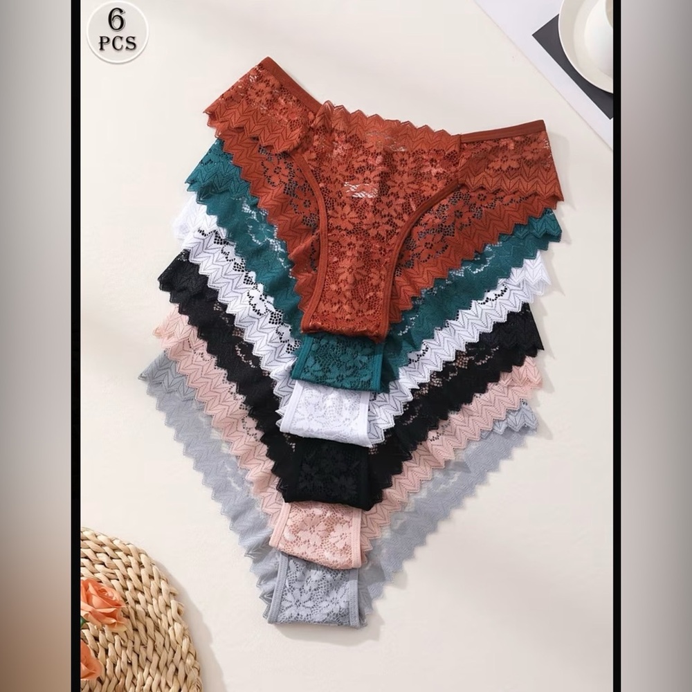Lace Bikini Panty Set – 6-Pack (Rust, Teal, White, Black, Pink, Gray)